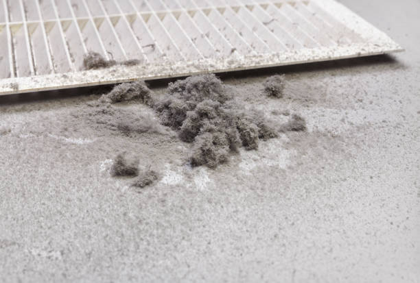 Best Air Duct Cleaning Company Near Me  in St Lawrence, PA
