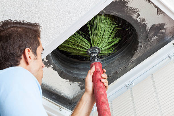Best Dryer Vent Cleaning Services  in St Lawrence, PA